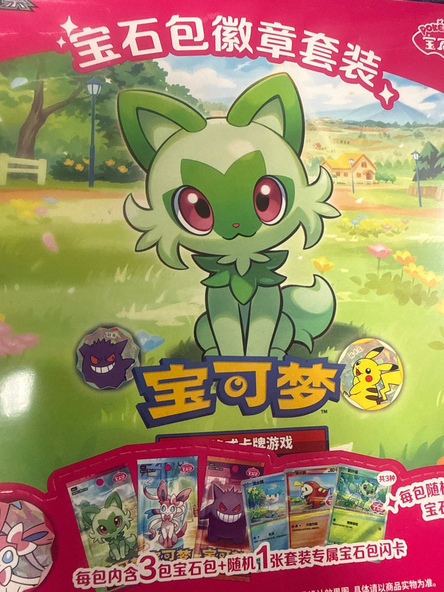 Chinese Gem Bag - Pokemon